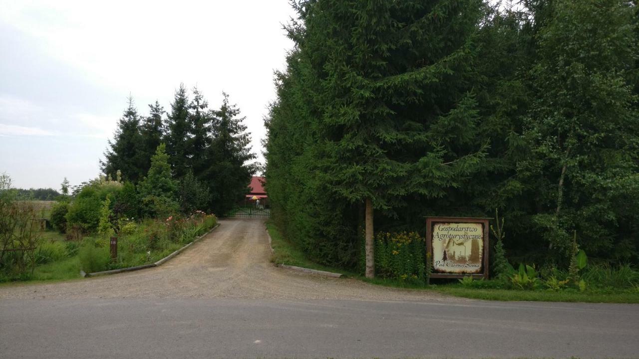 Agroturystyka Pod Czarna Sosna Bialy Lug Экстерьер фото